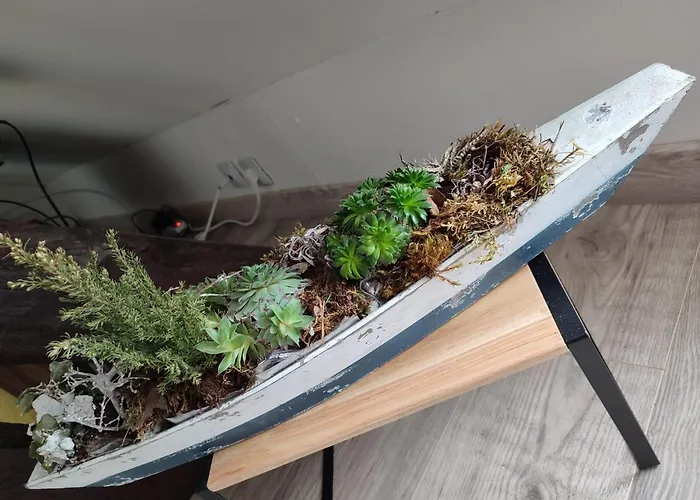 D'eros * Сен-Валери-сюр-Сомм